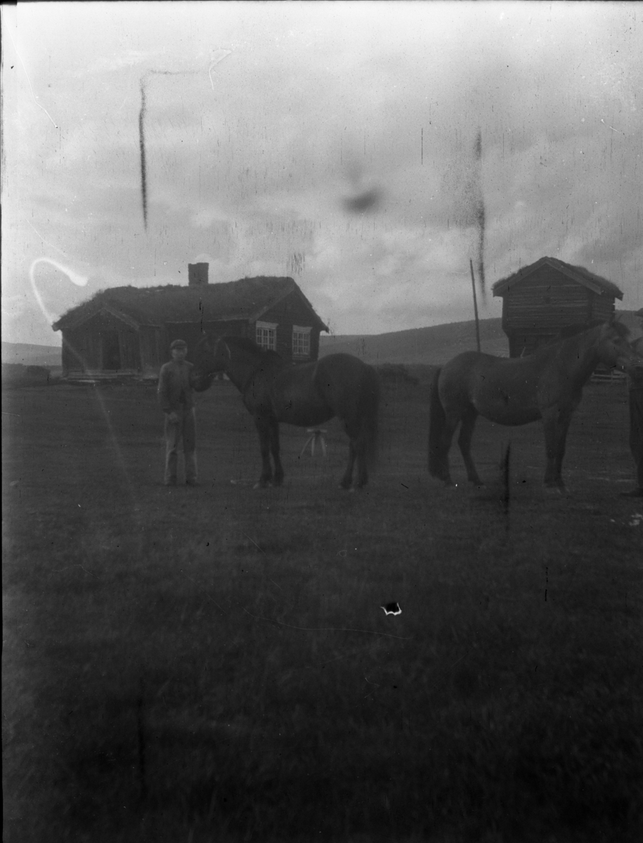 Rikard Berges fotoarkiv. Gårdstun. Hansmoen, Tynset. Bildet er tatt av Johanna Bugge Berge. Fotografert 1906.