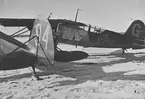 F6 Karlsborg 1948. B17 Gul g, kolliderat med Fiesler Storch (S14). Albumet är en del av en donation från Karl-Axel Hansson, Karlsborg. Förteckning över hela donationen finns i albumet samt som Word-dokument.