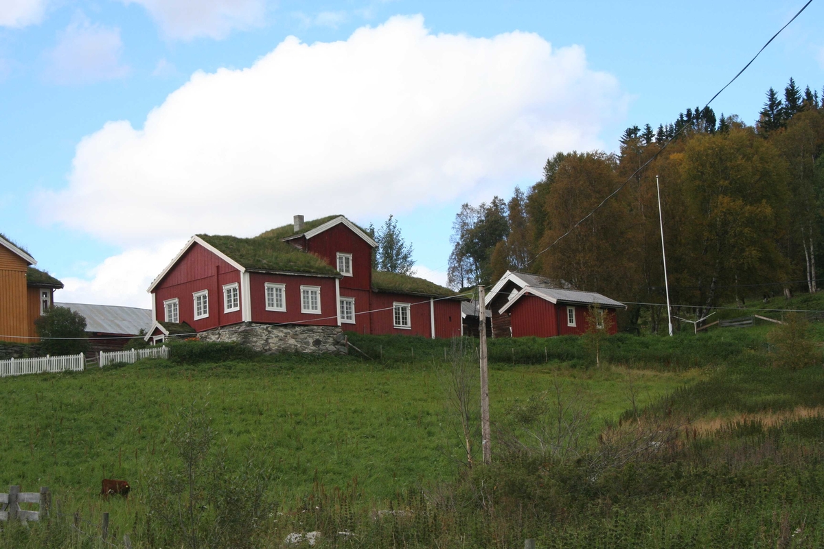 Åshaugen, Vingelsåsen, Tolga