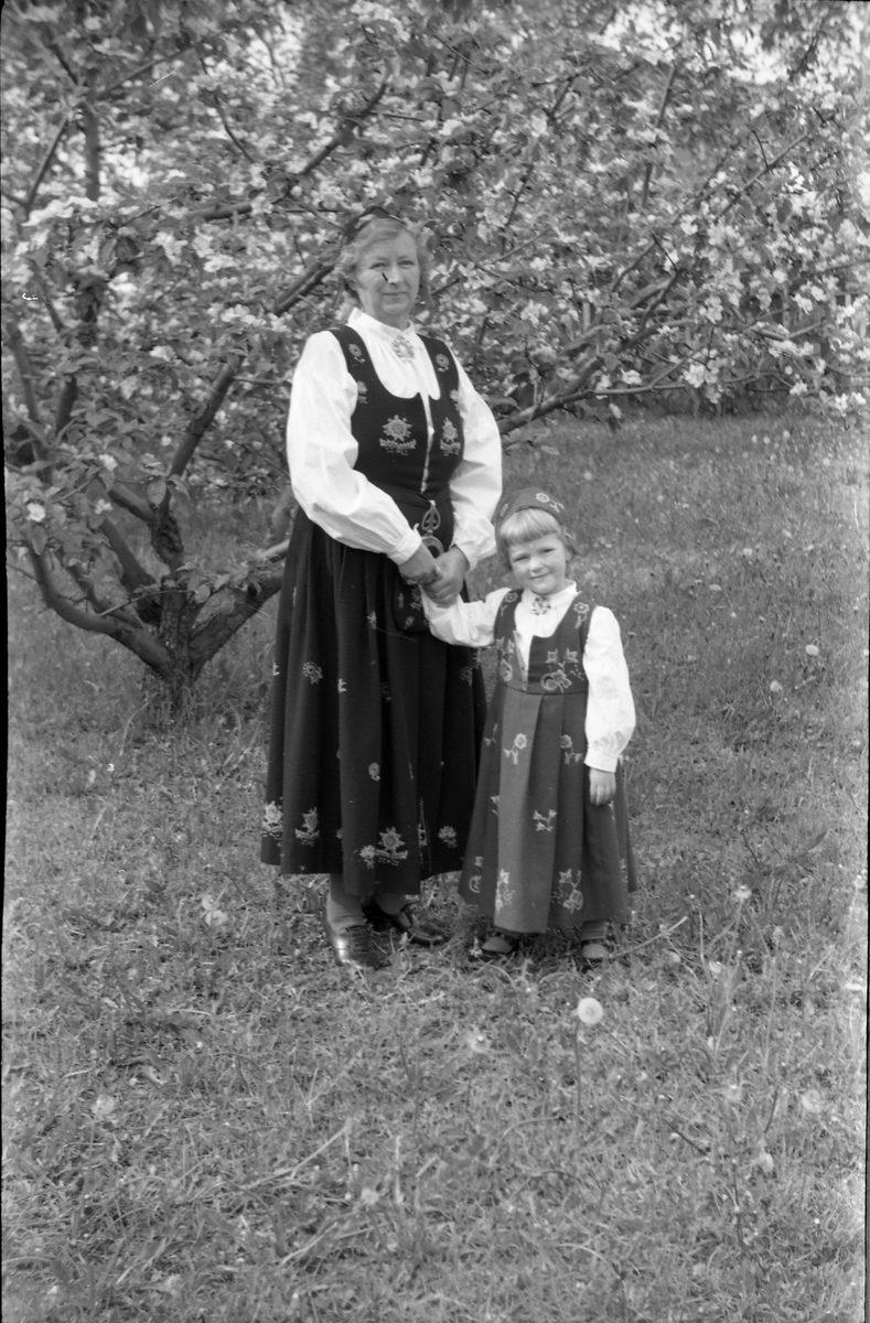 Serie på 11 helfigurs portretter av Dagmar og Michael Nordrum med dattera Else Marie mot en bakgrunn av et blomstrende frukttre. Noen av bildene er av de tre sammen, noen av mor og datter som begge bærer bunad, og noen av Else Marie alene.