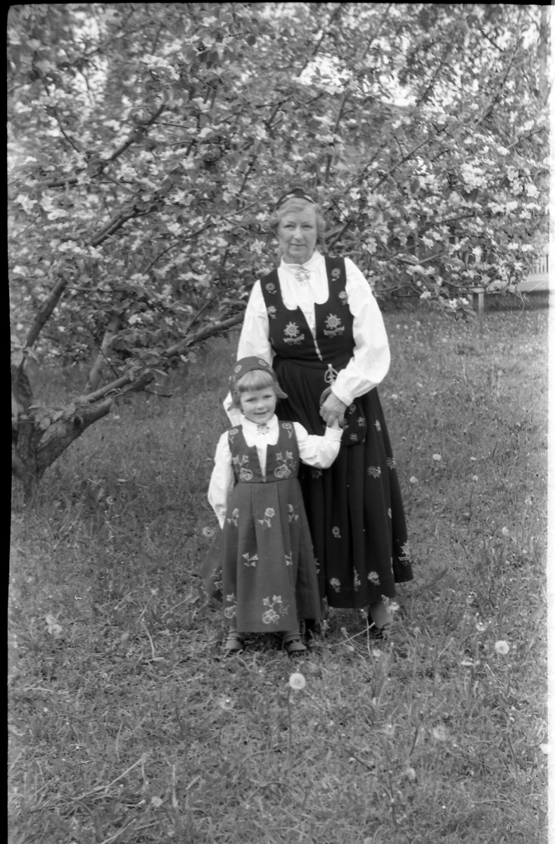 Serie på 11 helfigurs portretter av Dagmar og Michael Nordrum med dattera Else Marie mot en bakgrunn av et blomstrende frukttre. Noen av bildene er av de tre sammen, noen av mor og datter som begge bærer bunad, og noen av Else Marie alene.