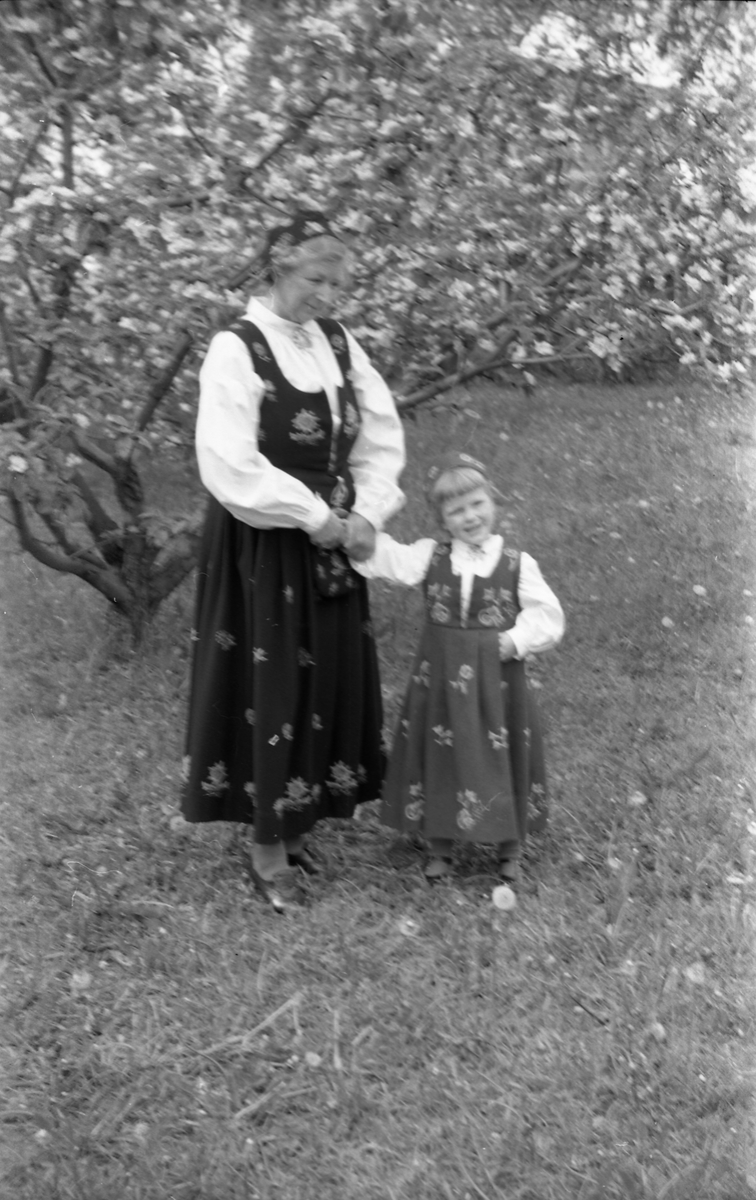 Serie på 11 helfigurs portretter av Dagmar og Michael Nordrum med dattera Else Marie mot en bakgrunn av et blomstrende frukttre. Noen av bildene er av de tre sammen, noen av mor og datter som begge bærer bunad, og noen av Else Marie alene.