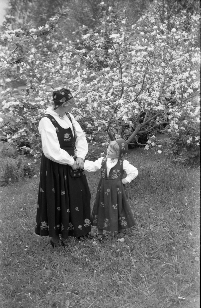 Serie på 11 helfigurs portretter av Dagmar og Michael Nordrum med dattera Else Marie mot en bakgrunn av et blomstrende frukttre. Noen av bildene er av de tre sammen, noen av mor og datter som begge bærer bunad, og noen av Else Marie alene.