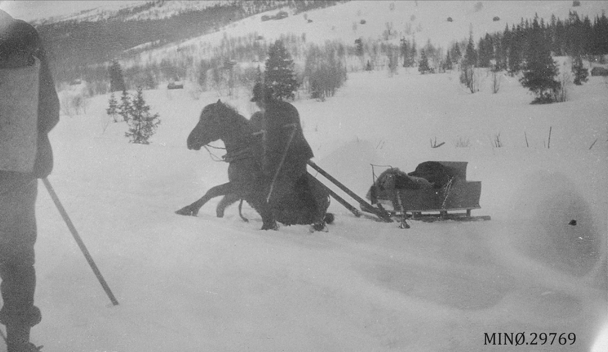 Med hest og slede på vinterføre. 