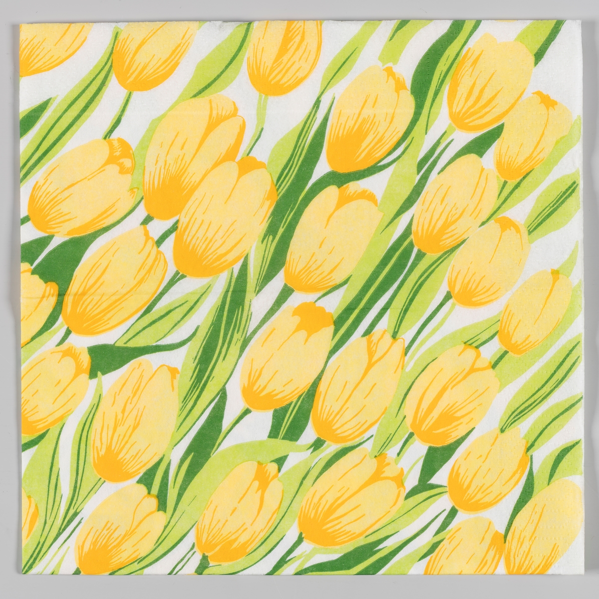 Gule tulipaner