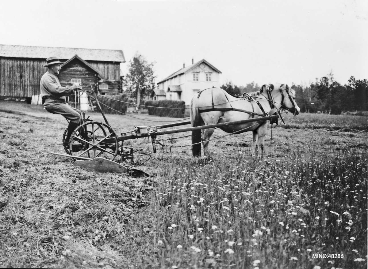 Slåttonn i Nyrønningen, august 1928, Edvard Nyrønning på slåmaskinen bak fjordingen "Topsi". 