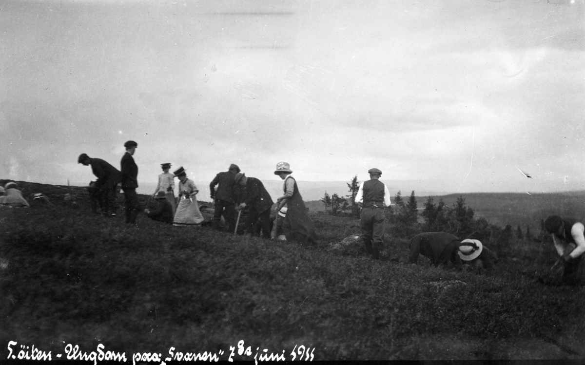 UTFLUKT, UNGDOM, SKOGPLANTING, Svaenlia, Løten. 1911.