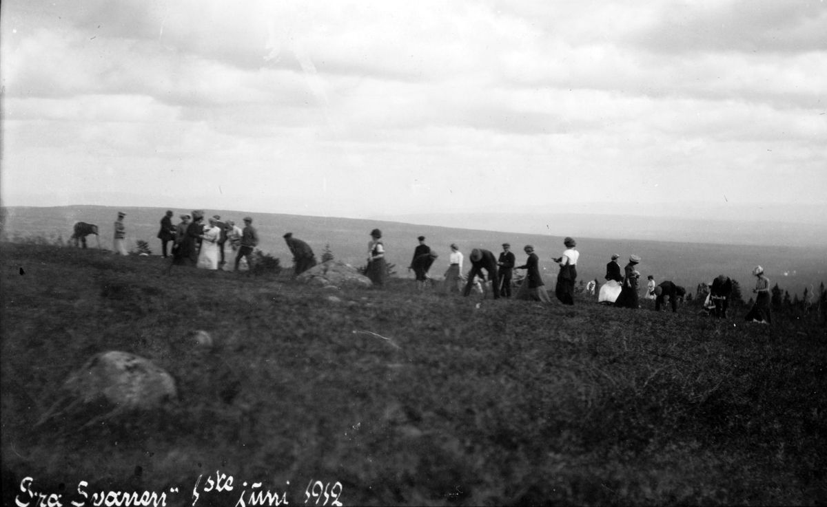 UTFLUKT, UNGDOM, SKOGPLANTING, Svaenlia, Løten. 1912