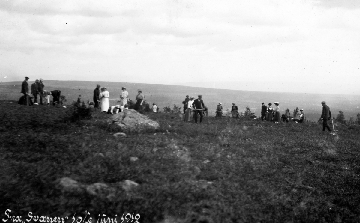 UTFLUKT, UNGDOM, SKOGPLANTING, Svaenlia, Løten. 1912