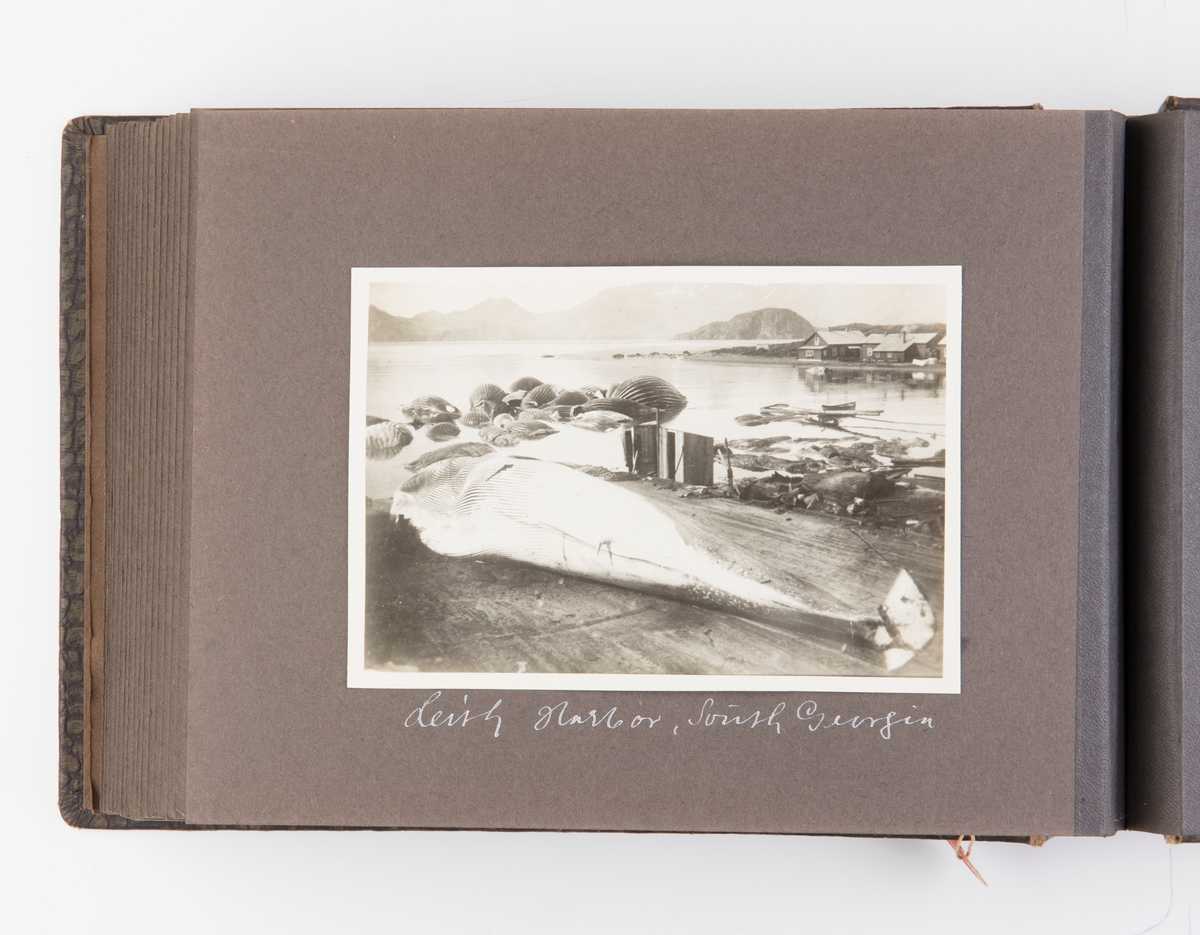 Fotoalbum med 42 fotografier fra Hvalfangsmuseet i Sandefjord.