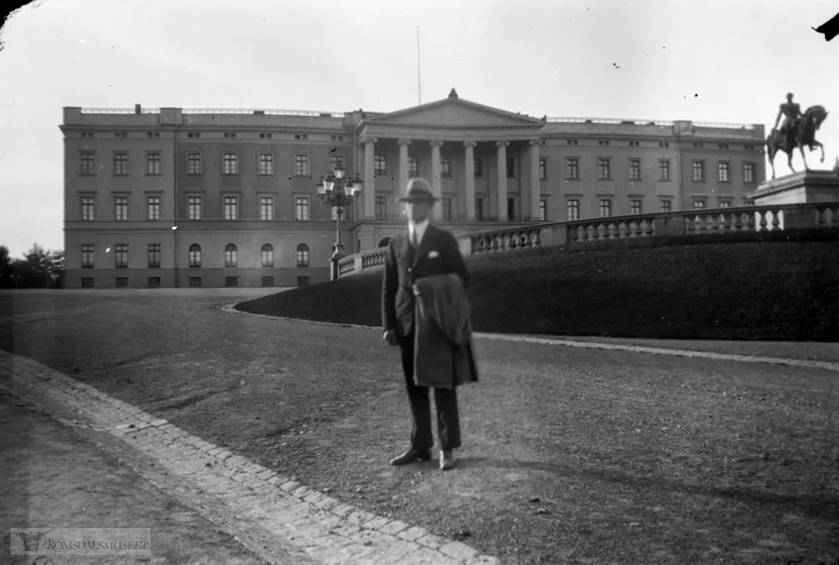 "Oslo".Det kongelige slott i bakgrunnen.