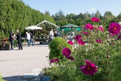 Äppeldagarna Julita 2015, Äpplen, marknad, butiken