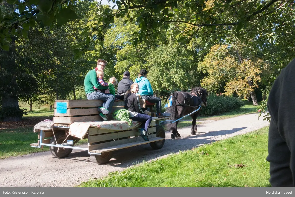 Äppeldagarna Julita 2015, Äpplen, marknad, butiken