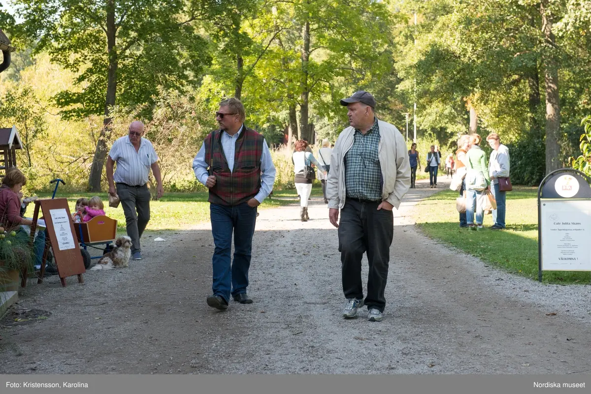 Äppeldagarna Julita 2015, Äpplen, marknad, butiken