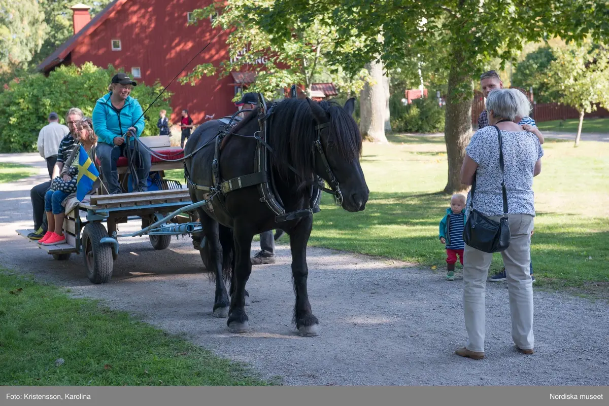 Äppeldagarna Julita 2015, Äpplen, marknad, butiken