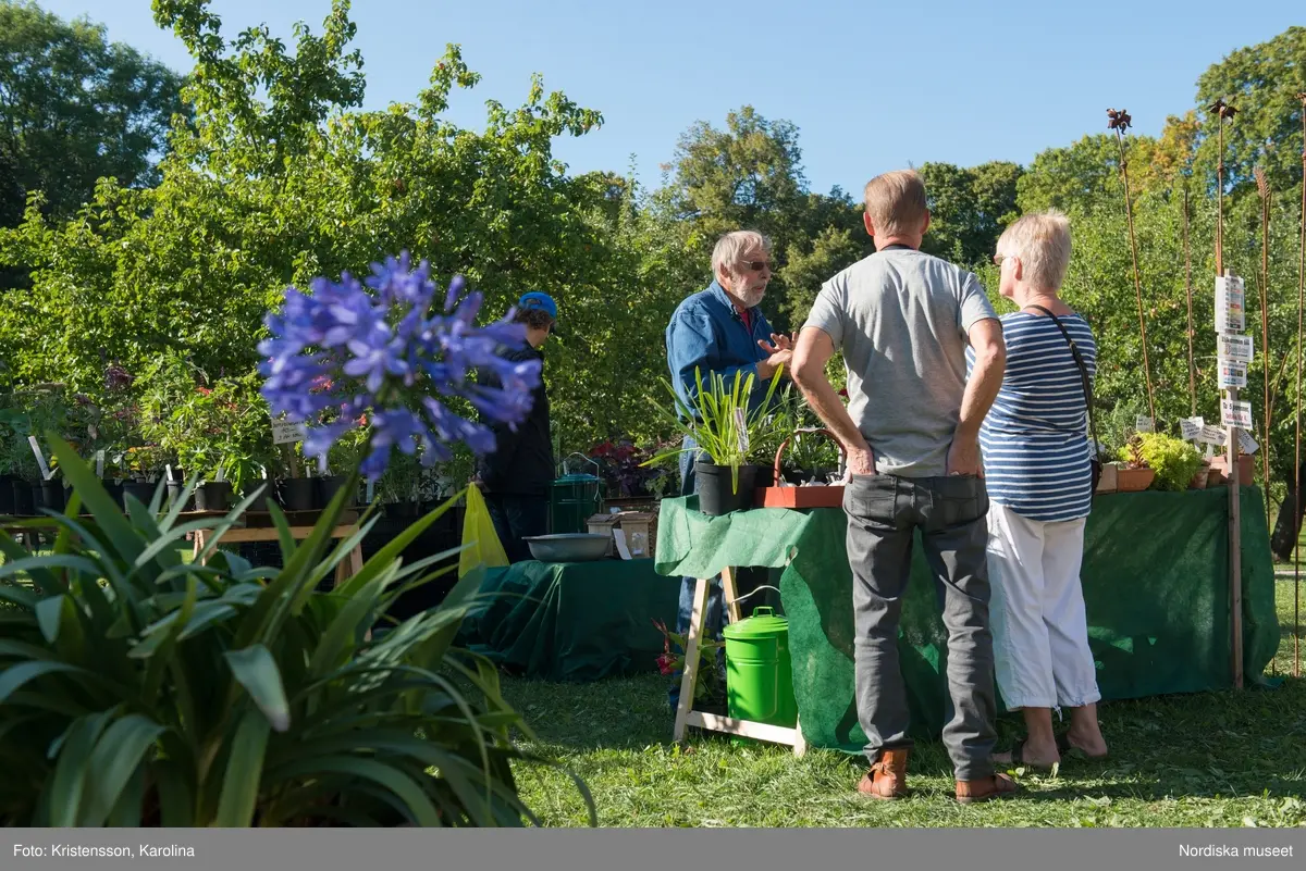 Äppeldagarna Julita 2015, Äpplen, marknad, butiken