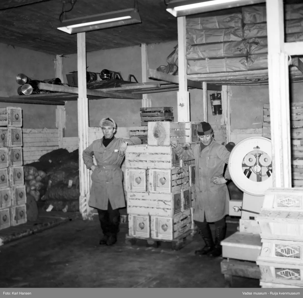 Nord-Norges salgslag Vadsø, 1964.  2 menn avbildet i Grønnsaklageret. Fra venstre;  Rolf "Rolle" Dolonen og Asbjørn Dalsbø.