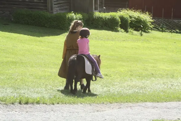 Barn på shetlandsponni