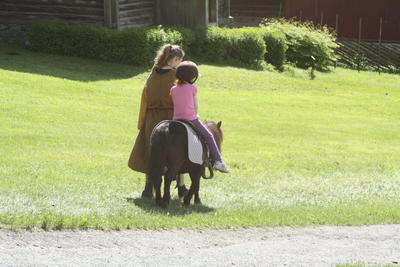 Barn på shetlandsponni