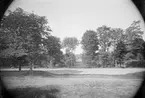 Botaniska trädgården och Linneanum, Kåbo, Uppsala 1886