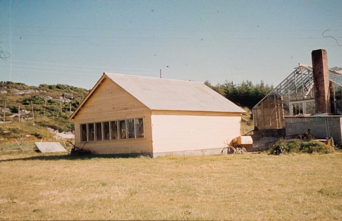 pakkeri hus pipe
