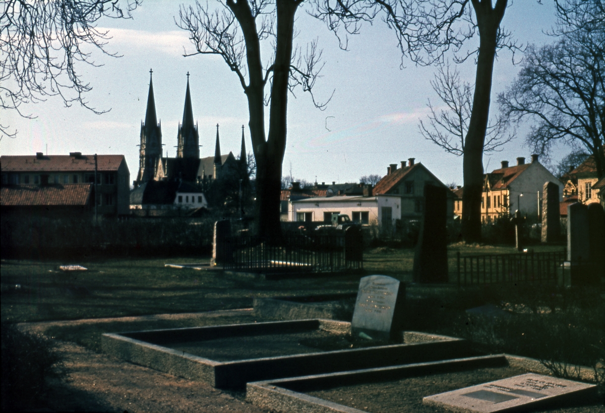 Skara domkyrka