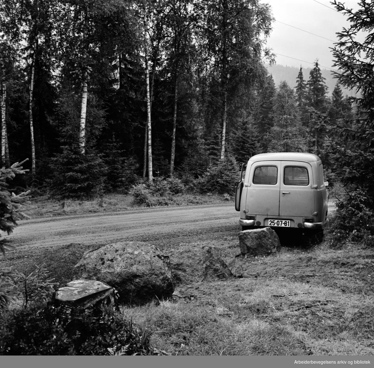 Maridalen: Kampestener til beskyttelse av nybeplantningen. August 1962