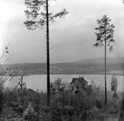 Arbeiderbevegelsens arkiv og bibliotek