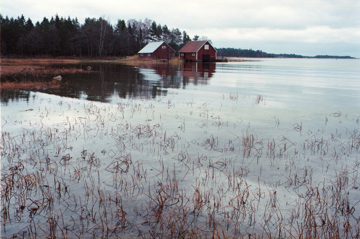 Båthus vid Östersjöns strand, Lönnholmen, Gräsö socken, Uppland 1994 - 1995