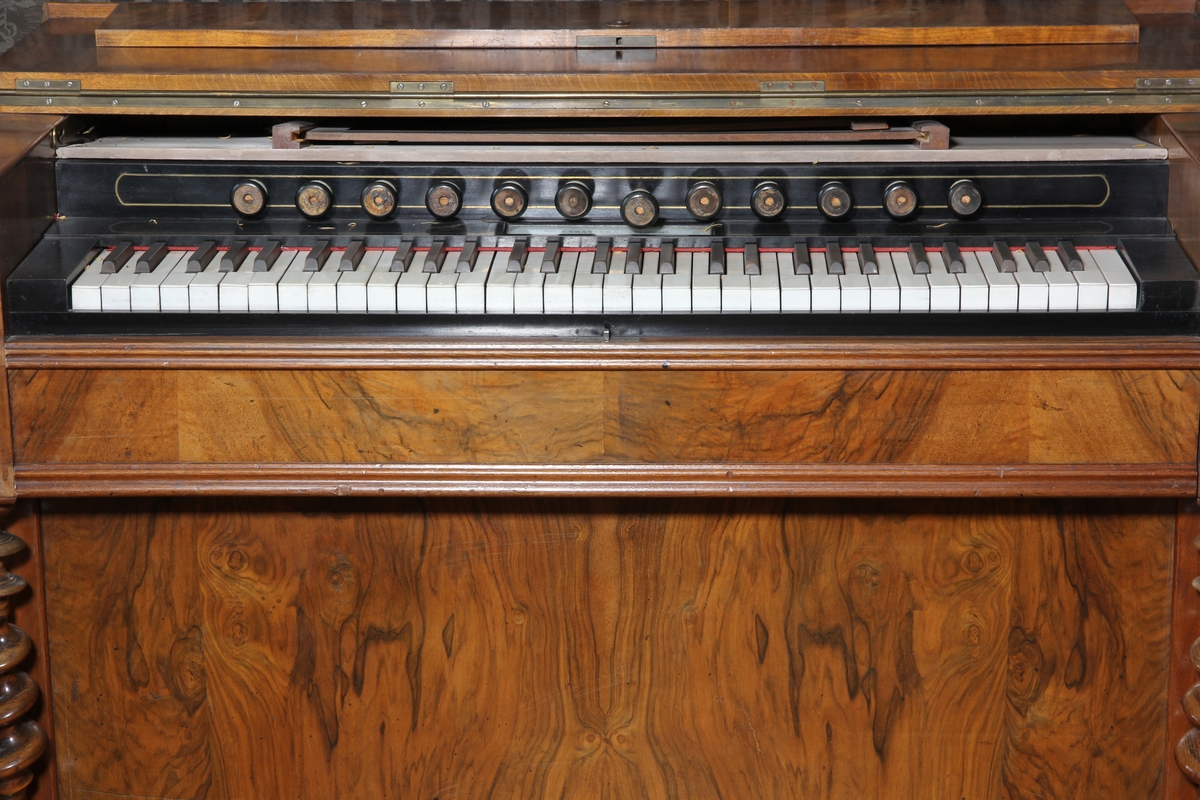 Orgel, tramporgel, harmonium, rektangulär av trä med valnötsfanér.  Vikbart lock och löst notställ. Undertangenter av ben, övertangenter av ebenholts. 12 andrag (skyltarna saknas). Svarvade pelare bär upp övre delen med klaviaturen. Två trampor.