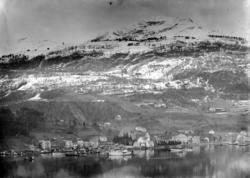 Brakanes, oversiktsbilete med mange fiskebåtar