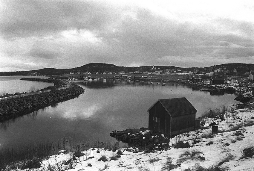 Bygninger og landskap rundt Nergårdsvika på Bjarkøy.