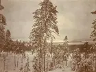 Utsikt över vinterlandskap, Smålands husarregemente K 4 på vinterövning i Norrbotten omkring 1910.