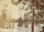 Utsikt över vinterlandskap, Smålands husarregemente K 4 på vinterövning i Norrbotten omkring 1910.