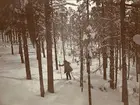 Smålands husarregemente K 4 på skidor, vinterövning i Norrbotten omkring 1910.