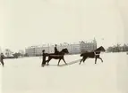 Hästtolkning i snön, Norrbotten omkring 1910.