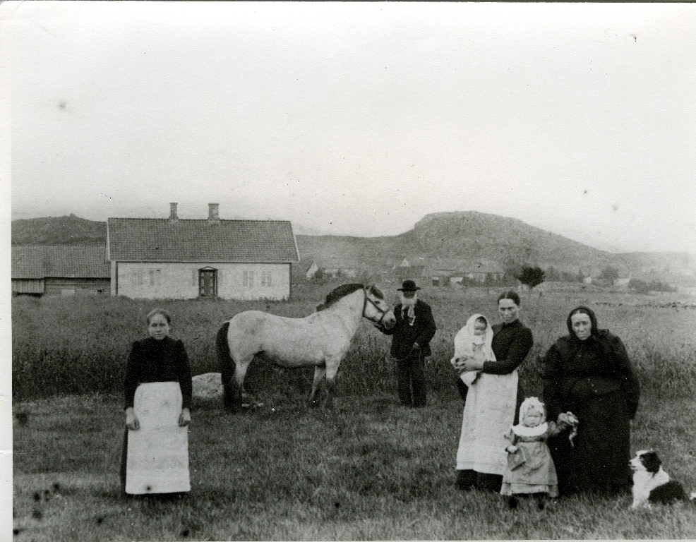 Familie framfor åkeren og heimehuset. F.v. : tenestejenta Ane Time, Peder Høyland (24.12.1821 - 21.12.1912) med hesten, Maria Åsen f. Høyland (4.3.1864 - ) med Inga Åsen g. Lende (14.5.1897 - 13.1.1989) på armen, Marta Åsen g. Risa (4.3.1896 - 28.3.1988) og Inger Marie Høyland f. Skårland (21.3.1821 - 8.3.1905) og hunden.
Same bilete som 2003.9TIM34.001.