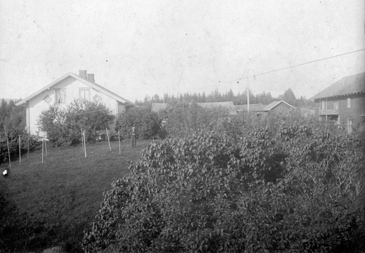 Søndre Tomter (60/2). Fra hagen mot hovedbygningen og låven. Låven har plattform ut fra treskelåven. Ellers skimtes fjøset (revet i 1954), sauhuset og maskinhuset for dampmaskinen «Odin» som dro treskeverket. Bildet må være fra 1920-tallet. Det er muligens føderådsmannen Martinius Tomter som står i hagen. Bildet er tatt fra andre etasje i føderådsbygningen. Den store syrinbusken i forgrunnen var formet som et lysthus.