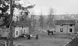 Fra det nybygde tunet på rydningsbruket Storhaugen ved Ørjev
