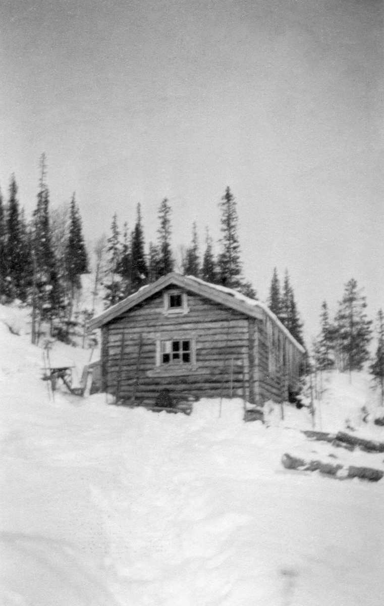 Skogstue ved Stabbforsen i Korgen statsskoger.  Skogstua er ei laftet hytte i ei snødekt li.  Fotografiet viser gavlveggen og deler av langveggen.  Ovenfor hytta ses en bergrygg med glissen granskog. 