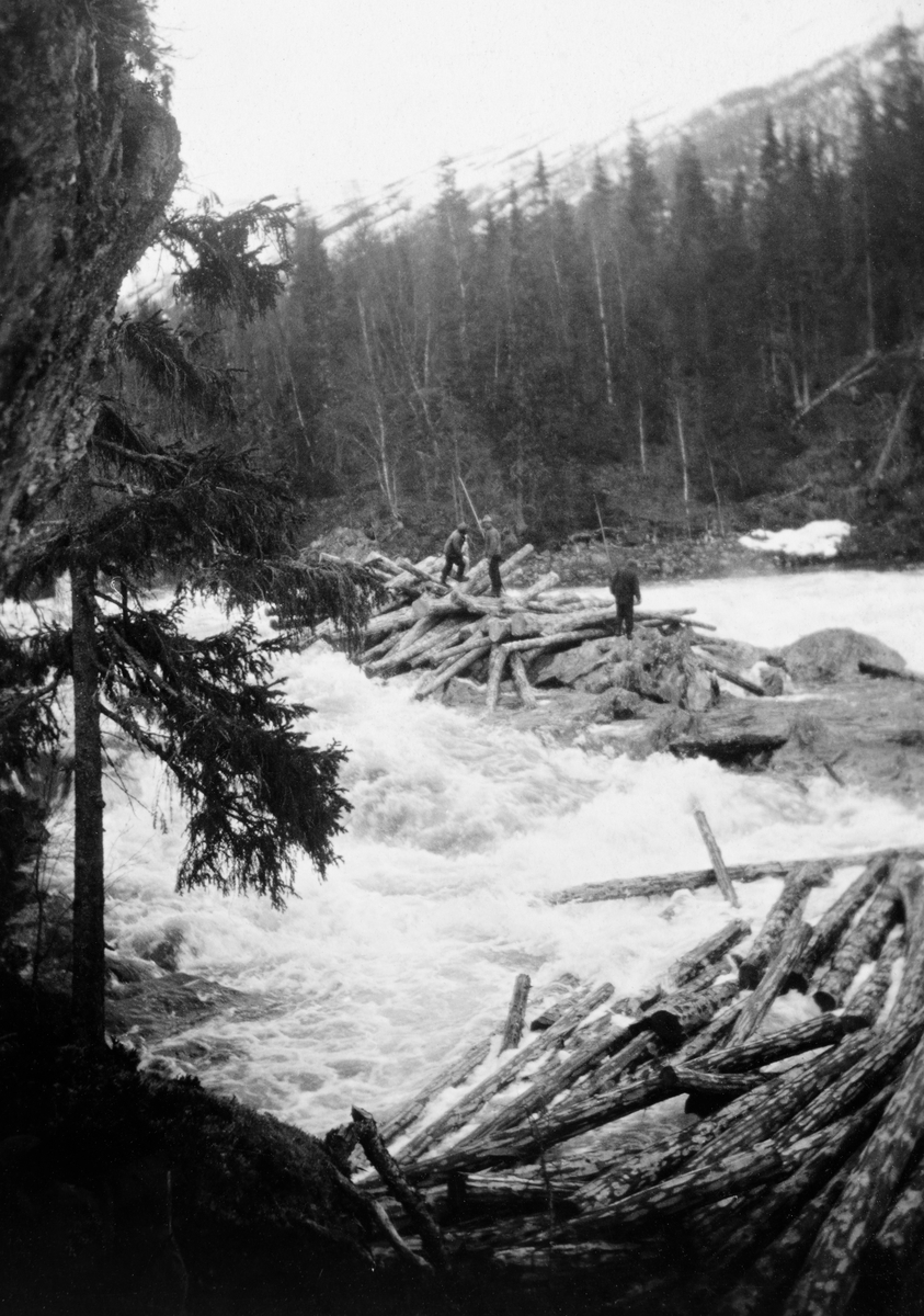 Tømmerfløting i Hattfjelldal statsskoger.  Fotografiet viser tre mann i arbeid med å løse tømmer som har hopet seg opp på et steinskjær midt i en foss.  I forgrunnen ligger det en vase som stenger det nærmeste fosseløpet.  Langs elvebreddene vokser det granskog med bakenforliggende snødekt snaufjell.  En tekst på kartotekkortet med kopi av fotografiet forteller at fløterne kom seg i land fra skjæret via tau og liner når tømmerrensken var gjort. 