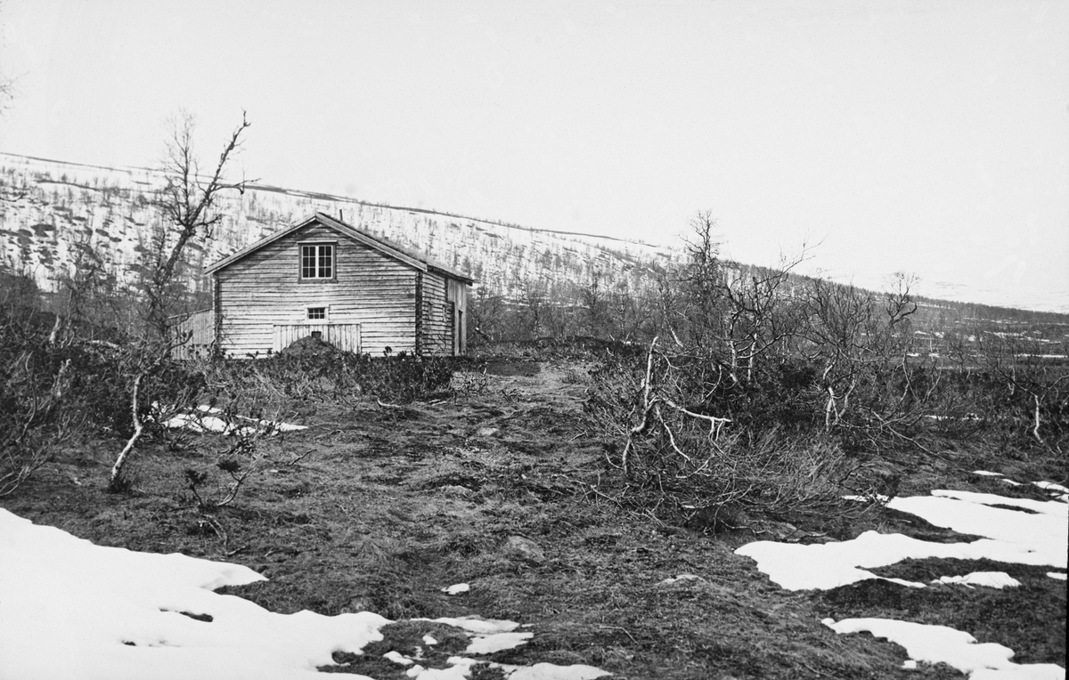 Ferdastall og fjelllstue i Stinnerbomslia i Harvassdalen i Hattfjelldal, fotografert i 1912.  Det dreier seg om en trebygning med rektangulært grunnplan og bølgeblikktekket saltak  Hovedvolumet ser ut til å være laftet, og gjødseldynga ved den gavlveggen som bildet er tatt mot tyder på at denne enden av huset inneholdt stallrom.  I motsatt ende av huset kan det se ut til å være et tilbygg utført i bordkledd bindingsverk.  Også på baksida av huset (til venstre på dette bildetL later det til å være et tilbygg (med pulttak) utført i denne byggeteknikken.  Huset lå i bjørkeskogbeltet, i ly av en åsrygg.  Fotografiet er tatt på et tidspunkt da det ennå lå snøflekker i terrenget.

Denne bygningen skal være reist i 1897-98.  Den skal i 1915, altså et par år etter at dette fotografiet ble tatt, ha vært flyttet til ei anna tomt, der den ble en del av en noe større «lappeoppsynsstasjon» - jfr. informasjon under fanen «Opplysninger».