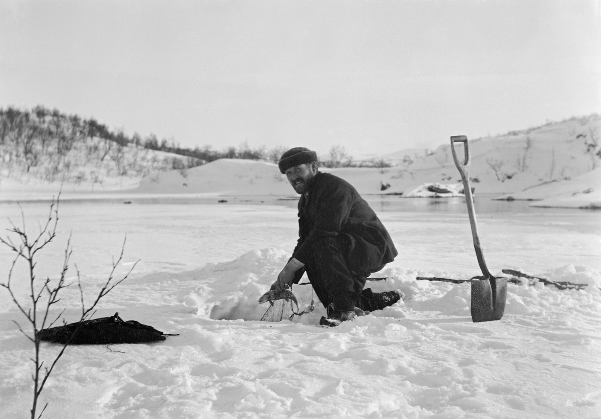 Garnfiske på isen på Østre Uman, som ligger på grensa mellom Mo i Nordland og Västerbottens len i Sverige.  Snødekt isflate med bjørkebevokste bakkekammer i bakgrunnen.  En mørkkledd mann med lue trekker et garn fra et hull i isen.  Han holder en fisk i hendene.  Mannen har en spade og et par kjepper som hjelperedskaper ved siden av hullet. 