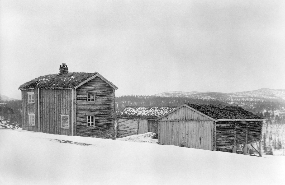 Gardstunet på Blomlia i daværende Meldal kommune i Sør-Trøndelag.  Fotografiet er tatt fra et snødekt jorde mot bygningene.  Tunet har et toetasjes våningshus, som var bordkledd på den sida som vendte mot fotografen.  Dette huset har seinempirevinduer - antakelig fra andre halvdel av 1800-tallet - i første etasje, og noe eldre klassistiske vinduer i annen etasje.  Taket var tortekt, og den ene skorsteinspipa i bygningen var gråsteinsmurt, også over den torvtekte takflata. Uthusbygningene i skråningen nedenfor våningshuset er begge laftekonstruksjoner uten bordkledning. Det ene av dem er reist på høye trestolper.  Bygningene er plassert slik i forhold til hverandre at tunrommet fikk et firkantet eller rektangulært preg. 

Bebyggelsen har vært sammenliknet med Litjbuan, som står på Sverresborg Folkemuserum i Trondheim. Man antar at førsteetasjen kan være fra1600- eller 1700-tallet. Her er det dekormaling - ranker med barokkpreg - i taket. 2. etasje kan være påbygd seinere. Løa fra Blomlia er flyttet til Ofstadsetra.

Blomlia er den innerste eiendommen i Dørdalen, som ligger vest for Gangåsvatnet, langs et bekkedrag som kalles Doro.  I bakgrunnen på dette fotografiet ser vi åskammer med glissen skog, antakelig Svorkdalskjølen. 

Blomlia ble delt i to bruk i forbindelse med et generasjonsskifte på eiendommen i 1846.  Vi vet foreløpig ikke hvilket av de to brukene dette fotografiet viser.

Sommeren 2021 mottok Norsk skogmuseum følgende kommentar til dette fotografiet fra Ingvild Hovind:

«Mine foreldre kjøpte denne eiendommen fra Statsskog i 1987. Historien stemmer. Fjøs og låve ble flyttet, hovedbygningen står igjen. Det ble satt opp ny stall og låve av gjenbruksmateriell, før vår tid. 

Stedet har vært i bruk av skogsabeidere til utpå 60-tallet. Stallen har vært i bruk til arbeidshester. Det ligger fortsatt lønnsslipper fra skogsarbeidere i skuffen på stua. Stedet har også vært i bruk til seterdrift.
Hovedbygningen er helt spesiell, med dekor i taket fra 1600-tallet og flotte dobbeltdører.  Litjbuan på Sverresborg Folkemuseum og Bastiansetra føyer seg inn i samme kategori plasser.
Stedet ligger ved seterdalsveien, som går fra Løkken til Gåsbakken. 

Vi skal selge bygget nå.»