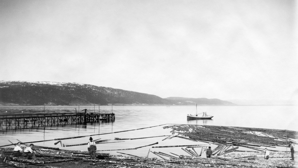 Tømmerbom på Trondheimsfjorden ved Viggja i Børsa.  Bommen ligger ved land, og utirulling foregår fra en forholdsvis svakt skrånende strandbakke.  Utenfor bommen ligger en liten motorbåt.  Til venstre i bildet ei stolpebåren trebrygge.  I bakgrunnen fjorden med omliggende åsrygger med gardsbruk langs strendene og skog oppover liene. 