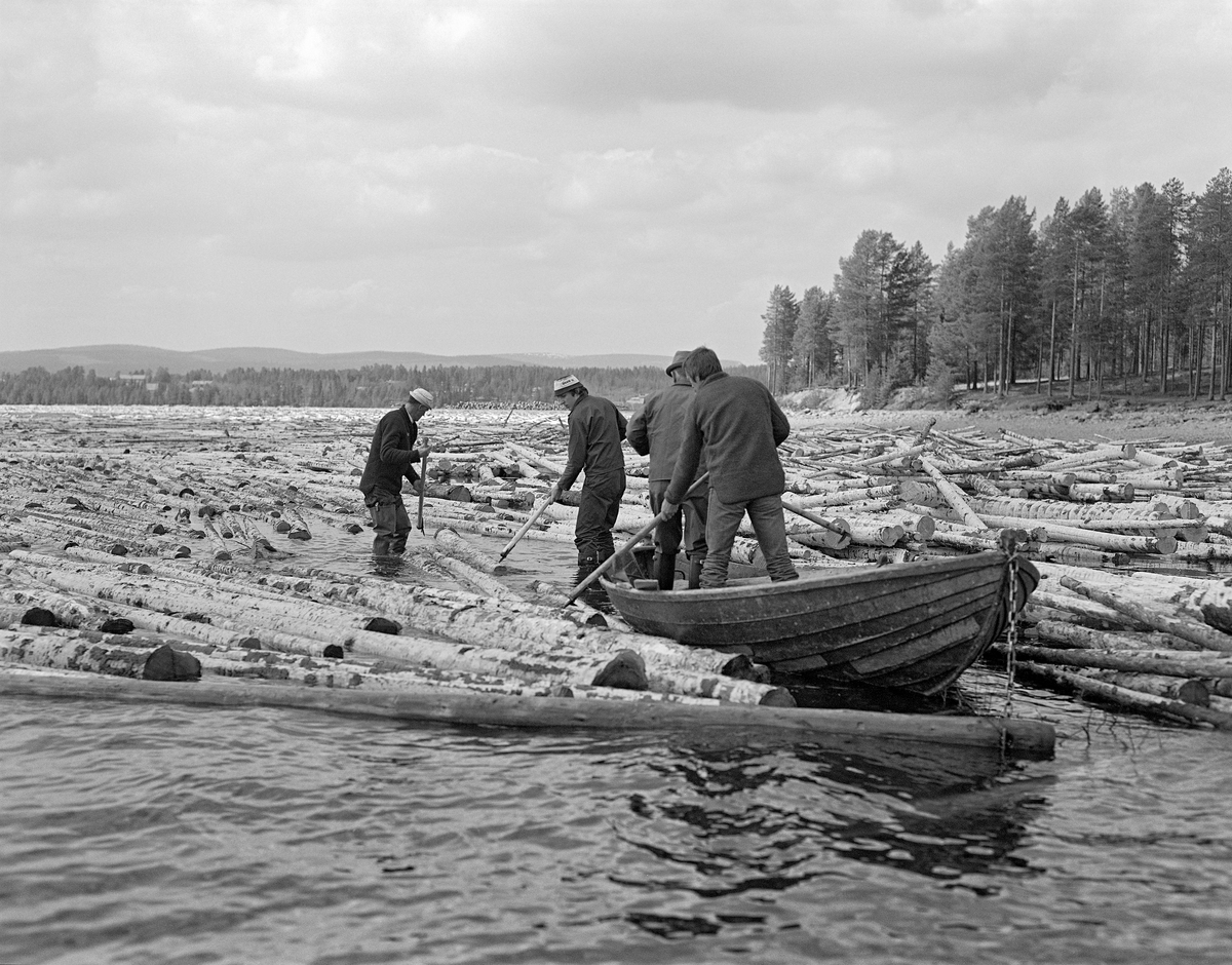 Arbeid med tømmerbom ved velteplassen Osmund i Nordre Osen, Åmot kommune i Hedmark, våren 1981.  I forgrunnen ser vi fire fløtere i aktivitet med hakene sine.  To av dem arbeidet fra en robåt, de to andre gikk på sjøbotnen i strandsonen.  På vannflata omkring fløterne lå det store mengder maskinbarket slipvirke.  Vi skimter også en god del virke på land, bak karene.  Osmund er navnet på området der elva Nordre Osa renner ut i Osensjøen.