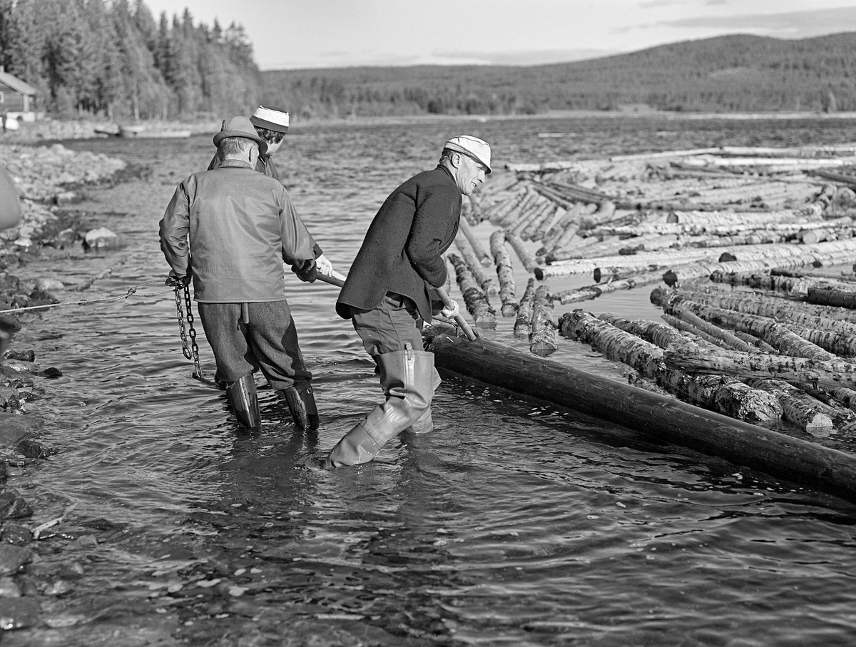 Tre fløtere trekker i en ringbom med tømmer som skulle skulle bindes fast ved land i Valmen, vika som fører mot elva Søndre Osas utløp fra sjøen. Tømmeret, som ble buksert hit ved hjelp av slepebåten Trysilknut, ble seinere sluppet i høvelige mengder gjennom dammen og videre nedover Osa mot Rena- og Glommavassdragene. I bakgrunnen på dette bildet ser vi garden Brevik.

I 1981 ble det levert 10 260 kubikkmeter med tømmer - slipvirke til treforedlingsbedriften Borregaard i Sarpsborg - ved Osensjøen. Dette tømmeret skulle fløtes ned den cirka 17 kilometer lange Søndre Osa, over i den nedre delen av Renaelva, som skulle føre det ut i hovedvassdraget, Glomma.