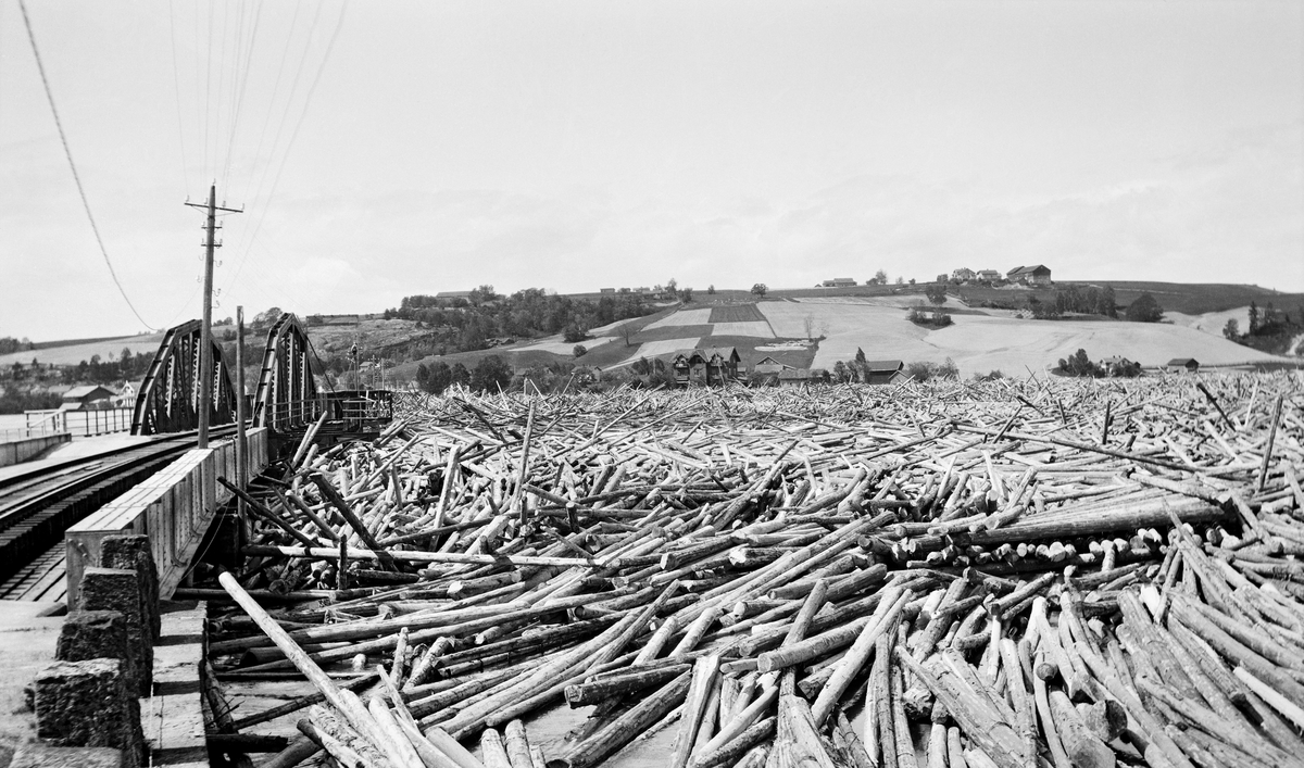 Tømmeropphopning på oversida av jernbanebrua ved Fetsund under flommen i 1910.  Fotografiet er tatt fra østre elvebredd mot det brede, stilleflytende elveleiet, som preges av tømmer som ligger sammenhopet med stokkene sprikende i mange retninger.  Årsaken var åpenbart den lave høydeforskjellen mellom vannflata og brua til venstre på bildeflata.  En del stokker har blitt liggende med endene mot brua, slik at de skapte et stengsel for bakenforliggende løstømmer.  På bakkekammen i bakgrunnen et kulturlandskap med gardstun, jorder atskilt av skogstriper. 

Den avbildete tømmeropphopningen ved jernbanebrua i Fetsund var ikke den første som truet denne konstruksjonen.  Den utløste imidlertid et arbeid for å få reist ei ny og mer solid jerbanebru på dette stedet, et prosjekt som ble sluttført i 1918, jfr. rubrikken andre opplysninger. Skogbruk. Fløting av tømmer. Jernbanebru.