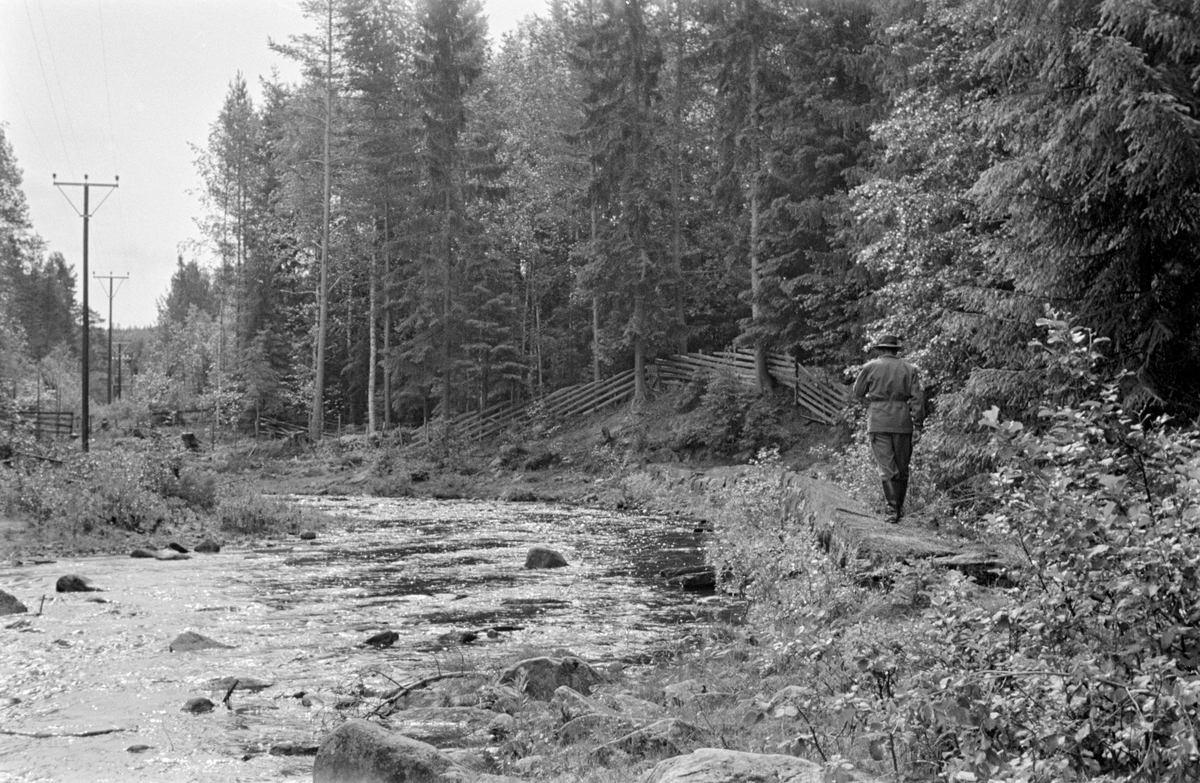 Parti fra Sæteråa i Sør-Odal (fra gammelt av Ullern anneks til Strøm prestegjeld). Denne delen av elva kalles «Fossimellom». Her renner Sæteråa gjennom granskog. Til høyre på fotografiet er det lagt en skådam av naturstein for å forebygge at fløtingstømmeret driver på land i en kurve der elvebakken på yttersida er forholdsvis slak. Gunnar Østerud (1904-1972) gikk på skådammen. Til venstre i bildet ei stolperekke med elektriske ledninger. Fossmellom er et gardsbruk som ligger mellom eiendommene Hellfossen og Kvernfossen, fem-seks kilometer sør for tettstedet Disenå.