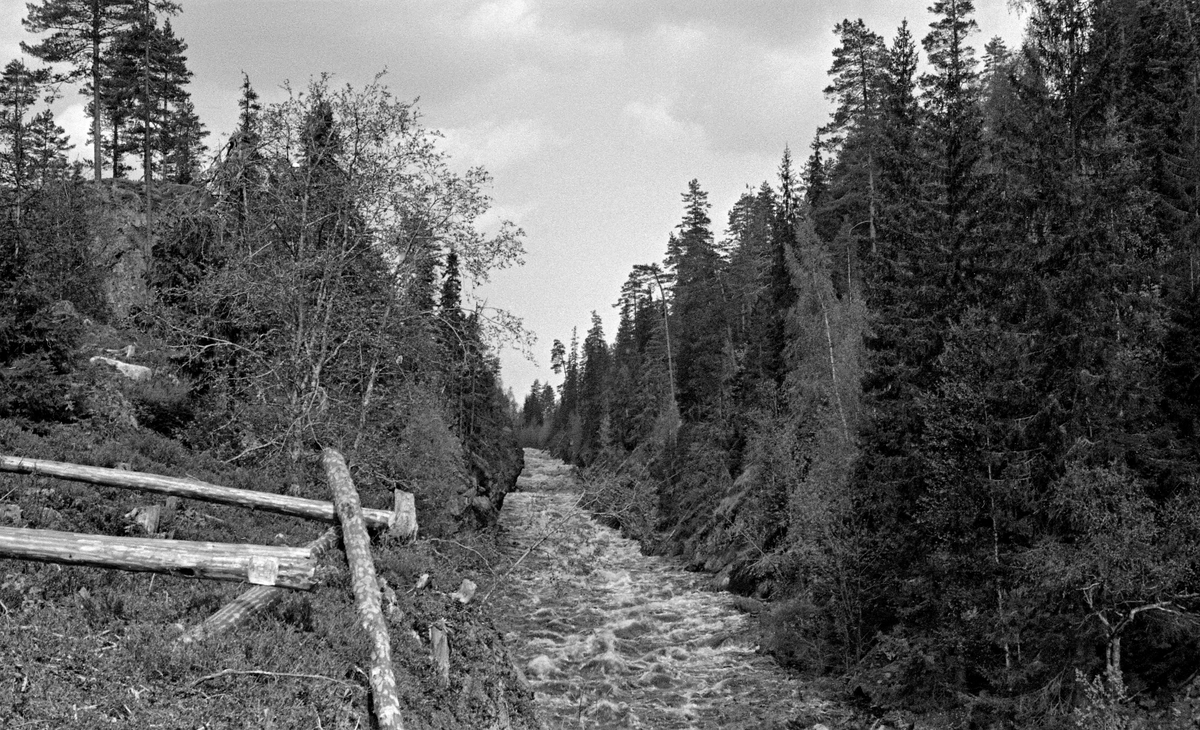 Velteplass ved Styggåa, den delen av Haugsåa i Nord-Odal som renner mellom Sætersjøen og Langfløyta.  Fotografiet viser et rett, flomstort elveløp som på opptakstidspunktet - i slutten av mai 1954 - rant med skumtopper på overflata.  Til venstre i forgrunnen ser vi noen barkete tømmerstokker, antakelig restene av ei velte som var lagt opp på dette stedet i løpet av foregående vinter med tanke på måling, merking og utislag i fløtingsvassdraget.  Da dette fotografiet ble tatt var de fleste stokkene allerede rullet ut i elva.